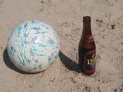 Lion Stout next to one very over-inflated volleyball. I had bruises all up and down my arms from that damn rock!